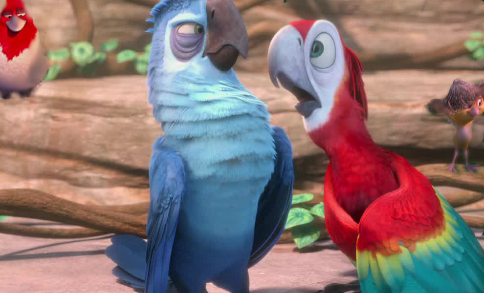 dispute, rouge et bleu 