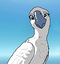 Rio base~female