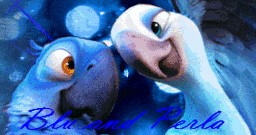 Le couple d'oiseau le plus connu !