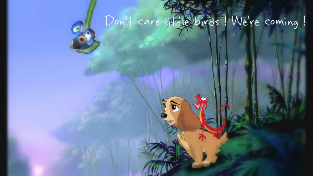 [PROJET] Don't care little birds ! We're coming !