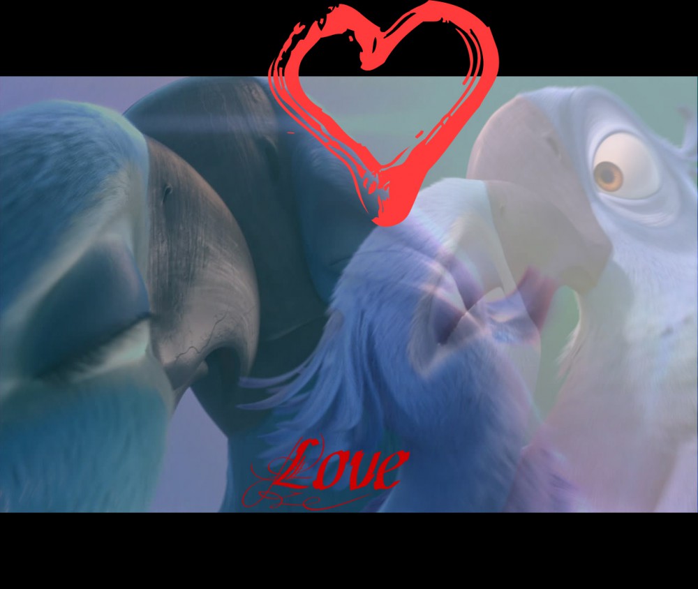 Love