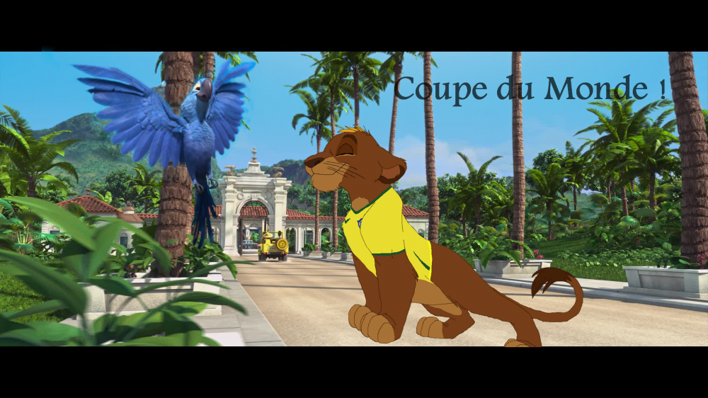 Coupe du Monde !