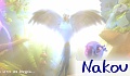Nakou