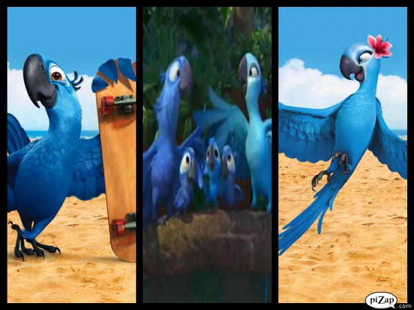 Blu and Jewel