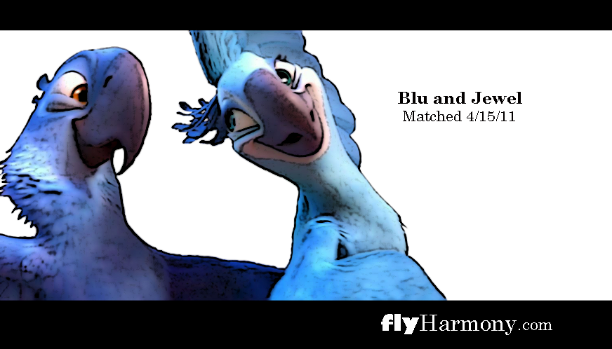 flyHarmony