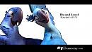 flyHarmony