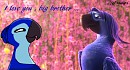 I love you , big brother ... -yume,roberto .