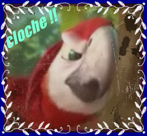 cloche ! [AVATAR]