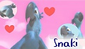 snaki