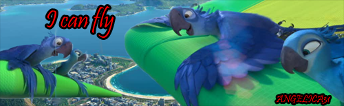 i can fly