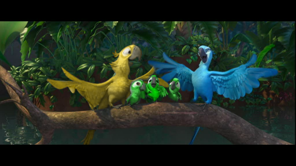 Joca, Jewel and... their chicks?!