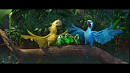 Joca, Jewel and... their chicks?!