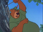 Image Robin Hood