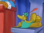 Image Robin Hood
