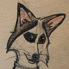 Will Scarlet 