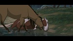 Image Spirit