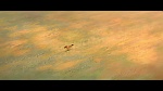 Image Spirit