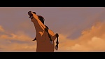 Image Spirit