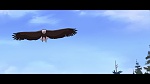 Image Spirit