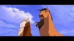 Image Spirit