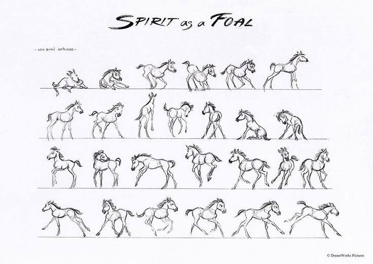 Spirit