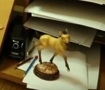 Animation