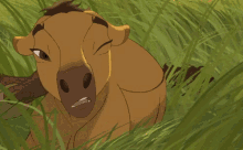 https://media.tenor.com/images/813de4f2d9796b53203bfd5041234769/tenor.gif
