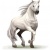 anointed_horse