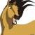 Horsegalforever