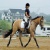 wildbuckskin54