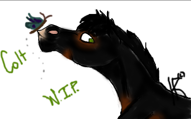 Gift for WS