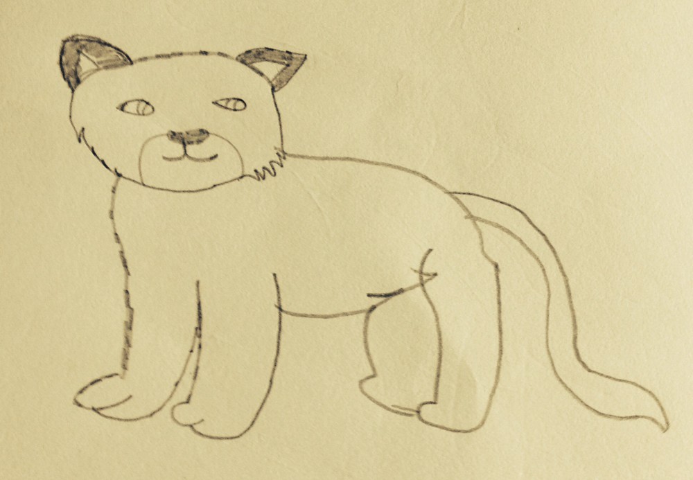 Cub cougar