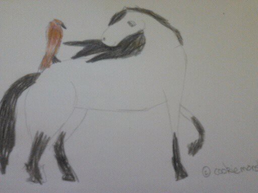 Old Drawings (3)