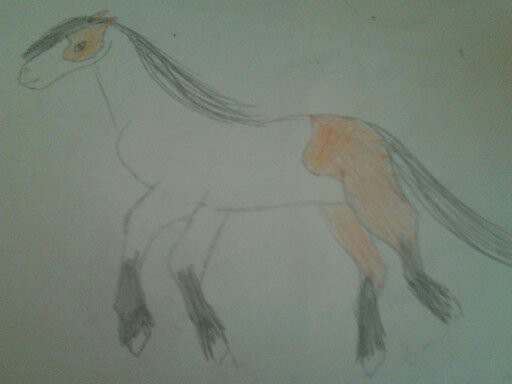 Old Drawings (1)