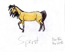Spirit 3