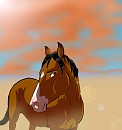Desert Beauty
