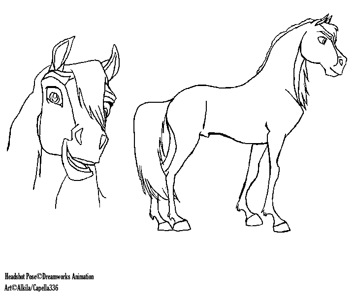Horse head and body lineart