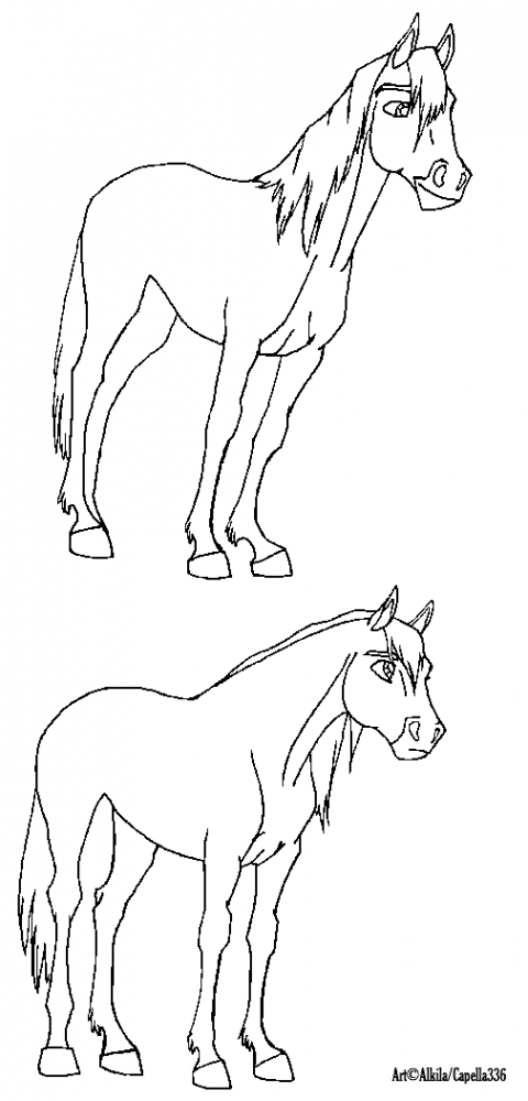 Quarter Horse & Mustang Lineart