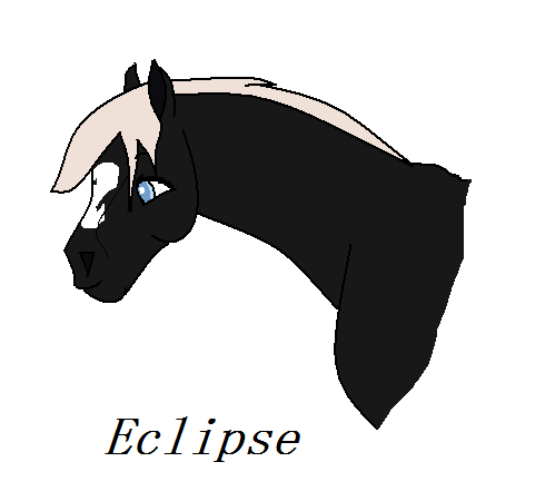 Gift for Mystic Mayhem: Eclipse portrait