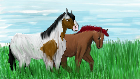 For horses101