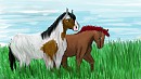 For horses101