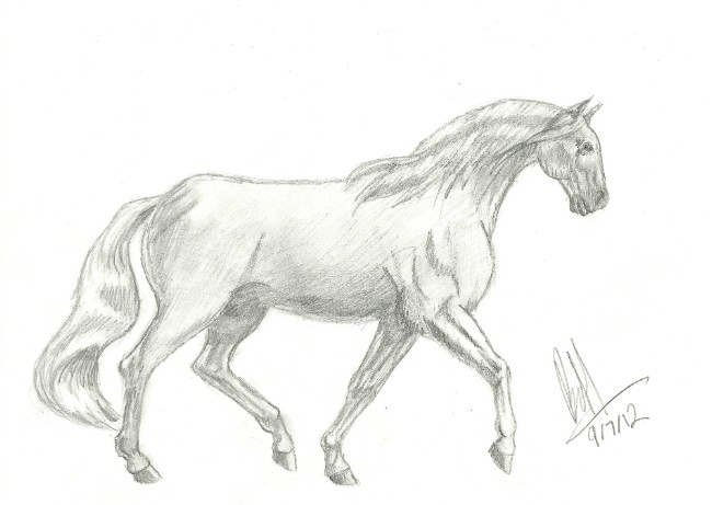 Random Horse