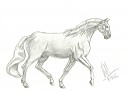 Random Horse