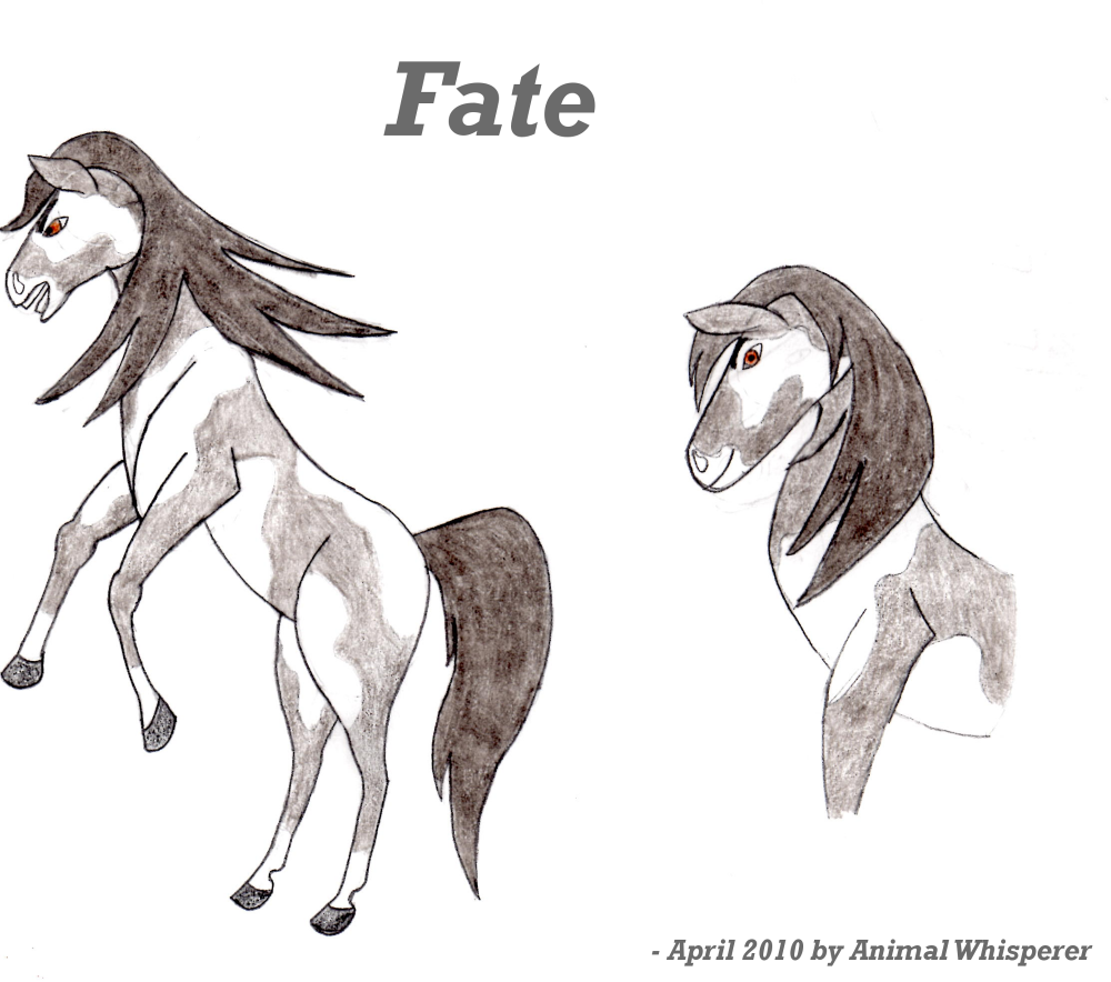 Old Fate Drawings