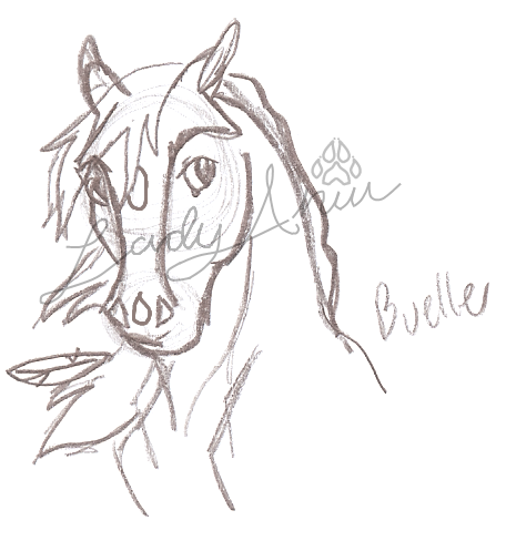 Bueller Headshot