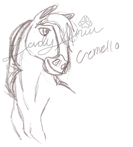 Creme Headshot