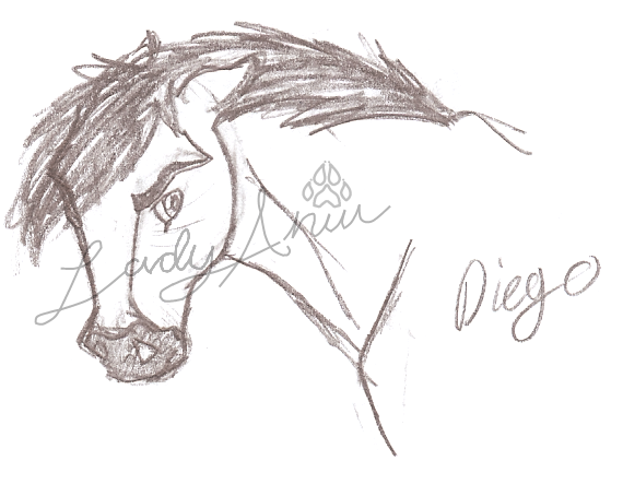 Diego Headshot
