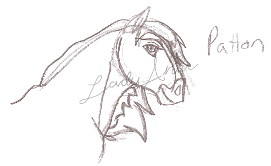 Patton Headshot