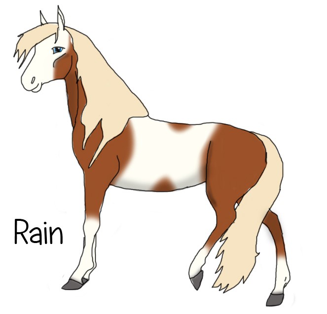 Rain