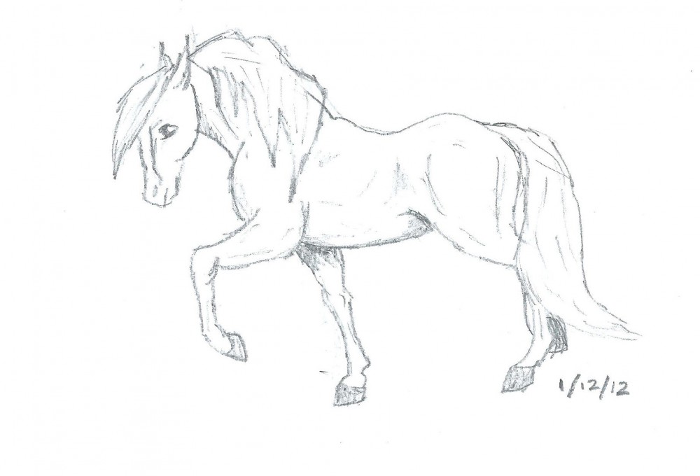 Horse Sketch